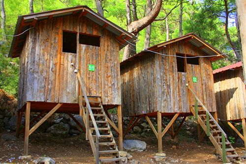 Saban Tree Holiday park 3*