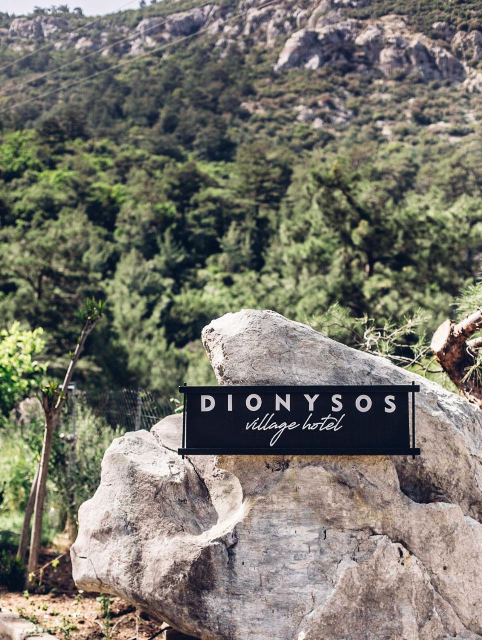 Dionysos 3*