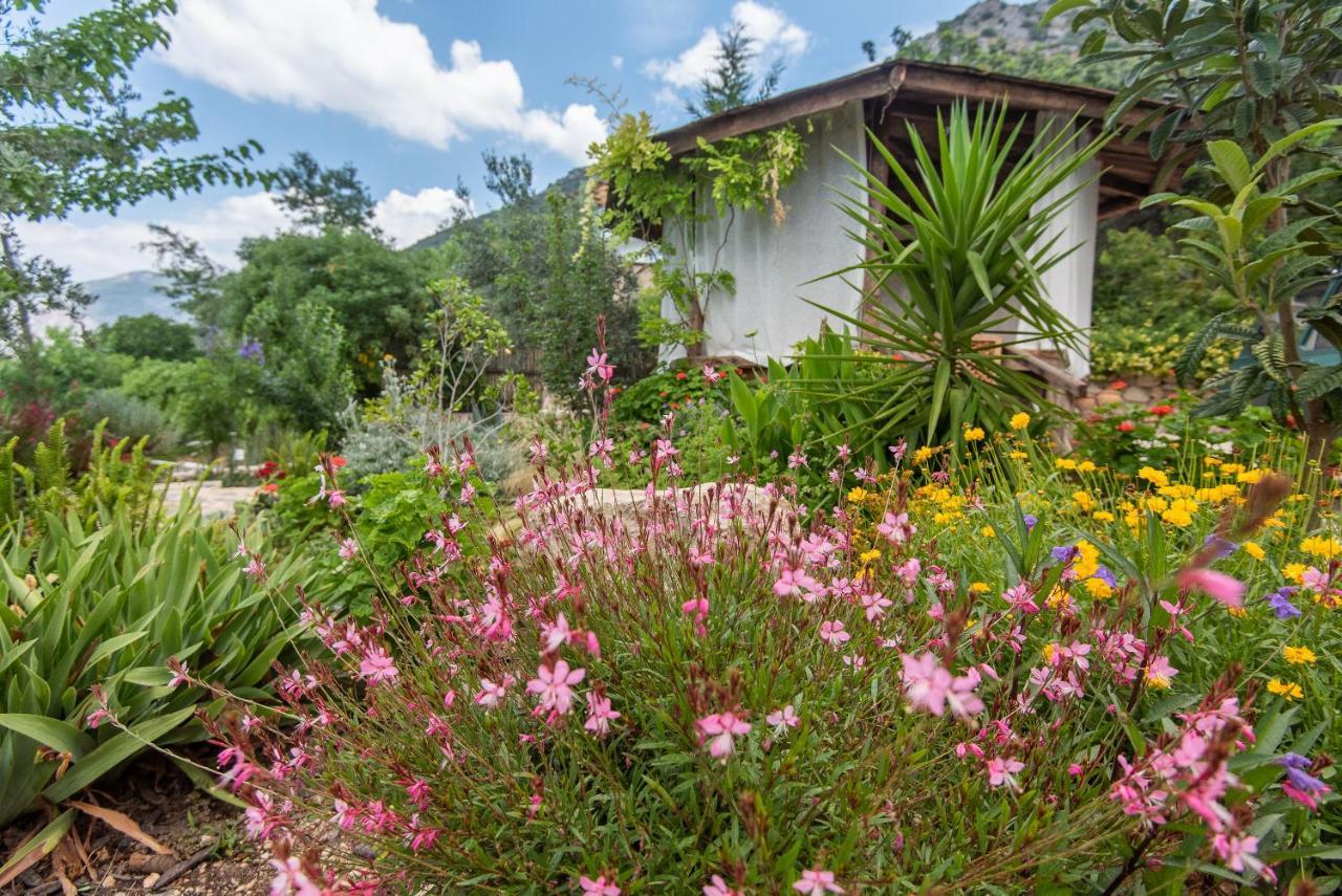 Villa Cennet Bahcesi *