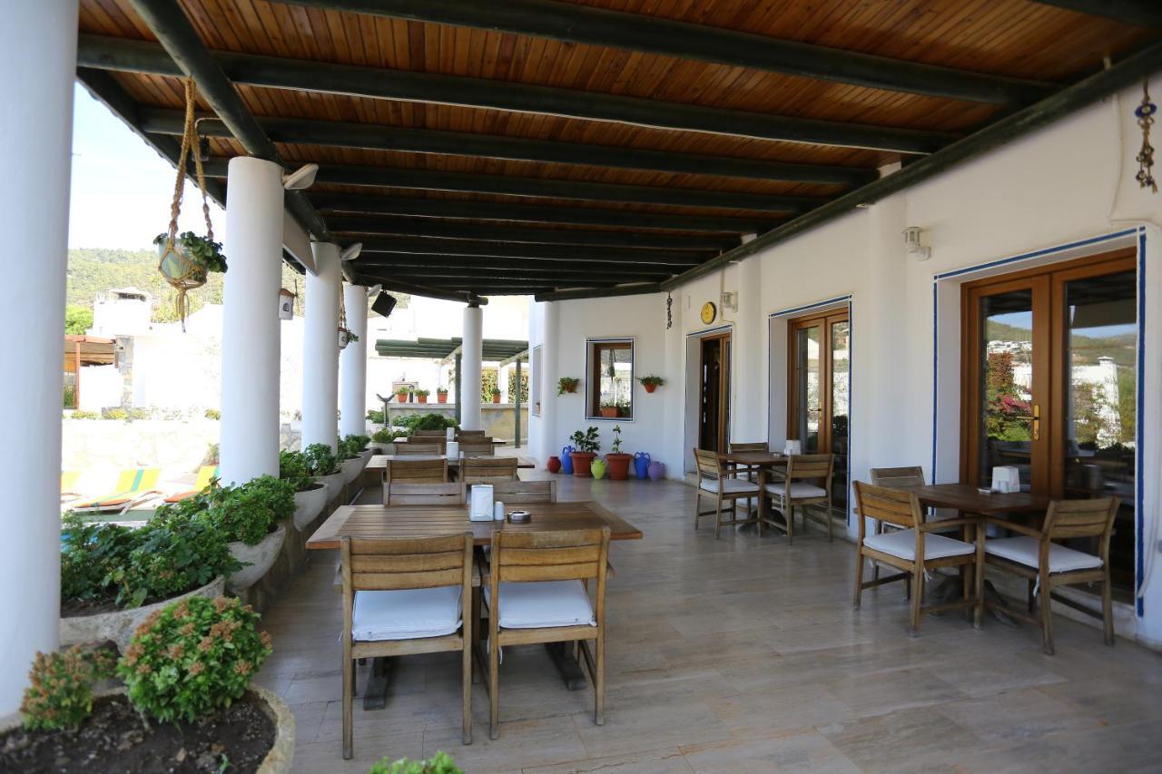 Hotel Eden