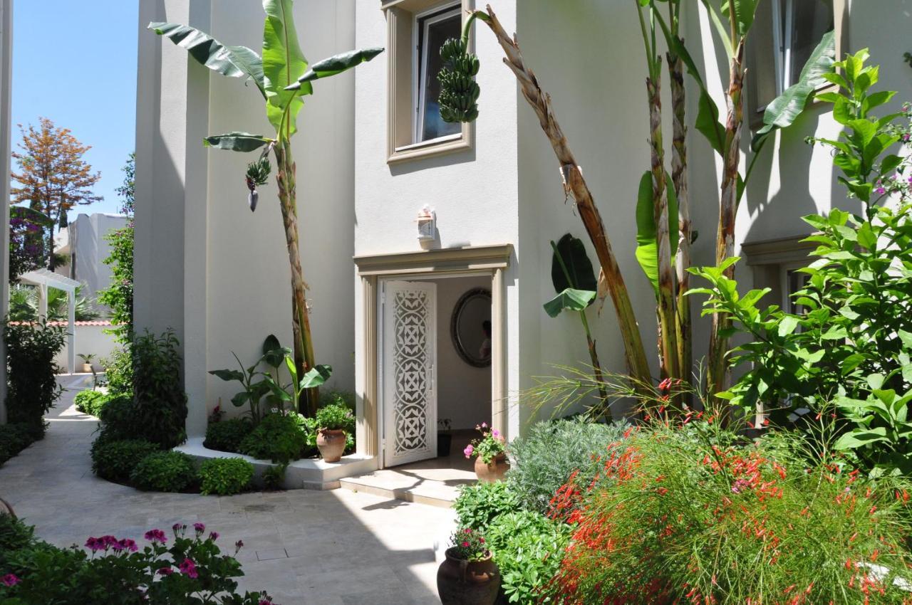 Olivias Group Hotel 3*