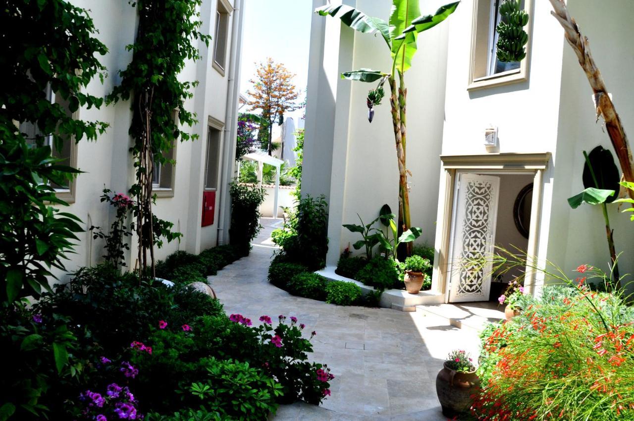 Hotel Olivias Group 3*