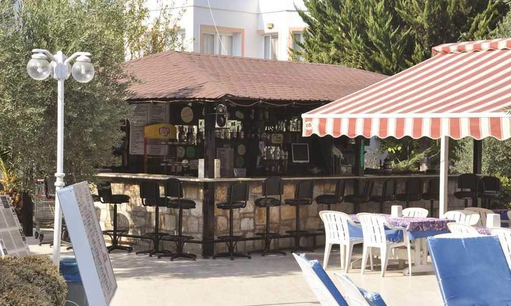 Tosunoglu *