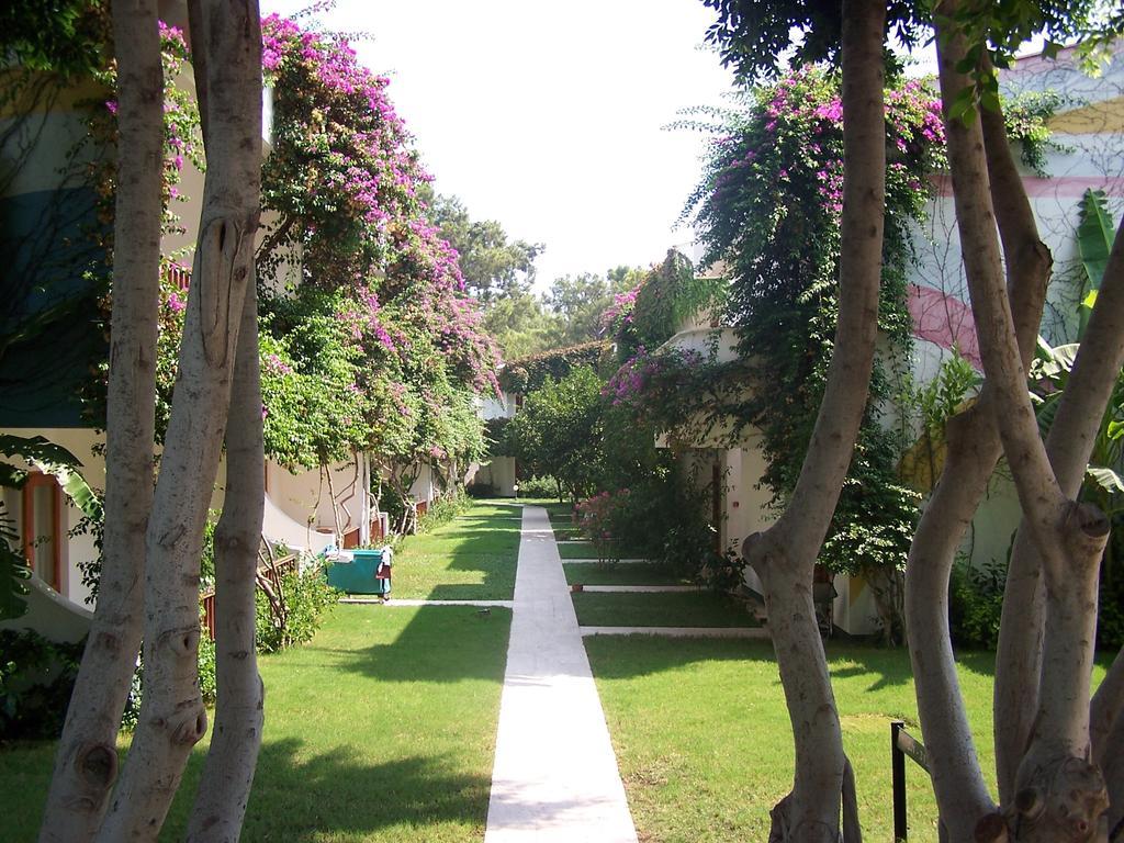 Resort Club Boran Mare