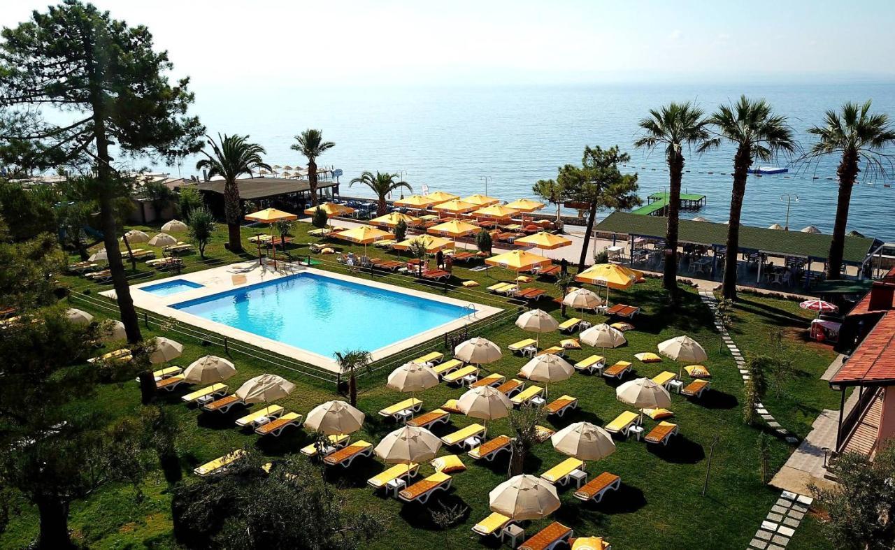 Hotel Palm 3*