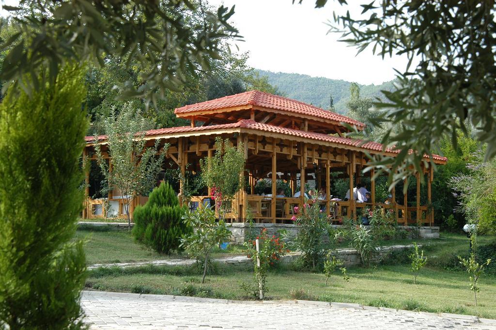 Natur-med Hot Springs And Health Hotel Davutlar