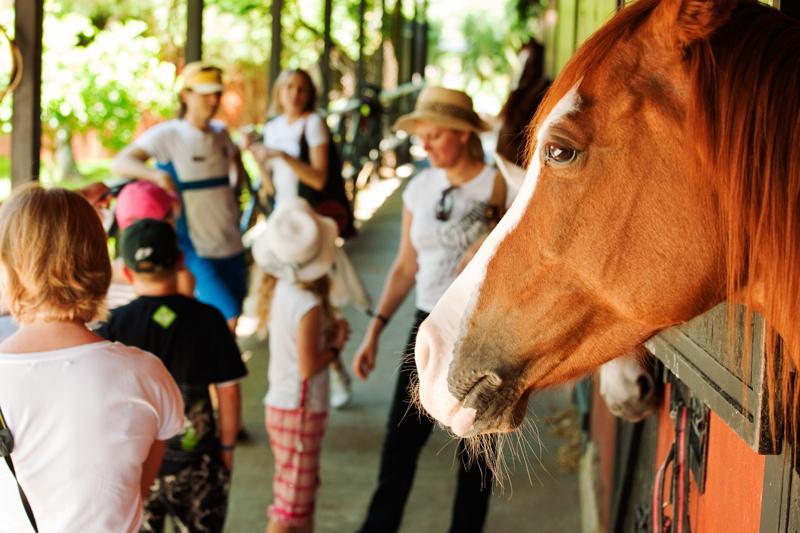 Hotel Berke Ranch&nature