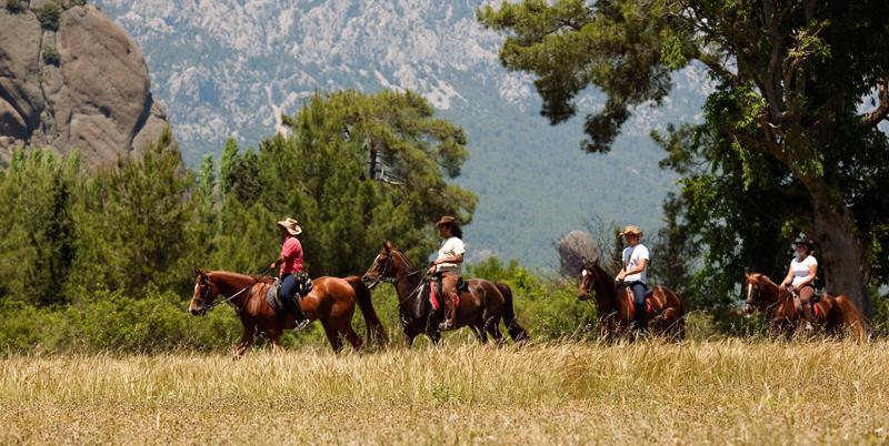 Berke Ranch&nature 3*