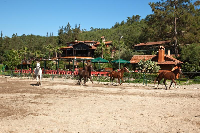 Hotel Berke Ranch&nature 3*