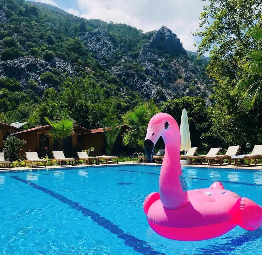 Dolunay Cirali