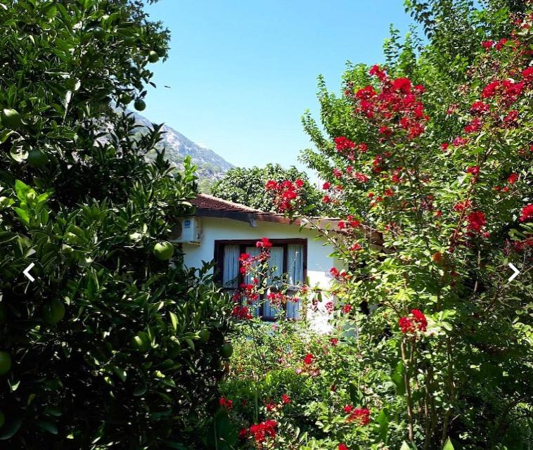 Dolunay Aparthotel