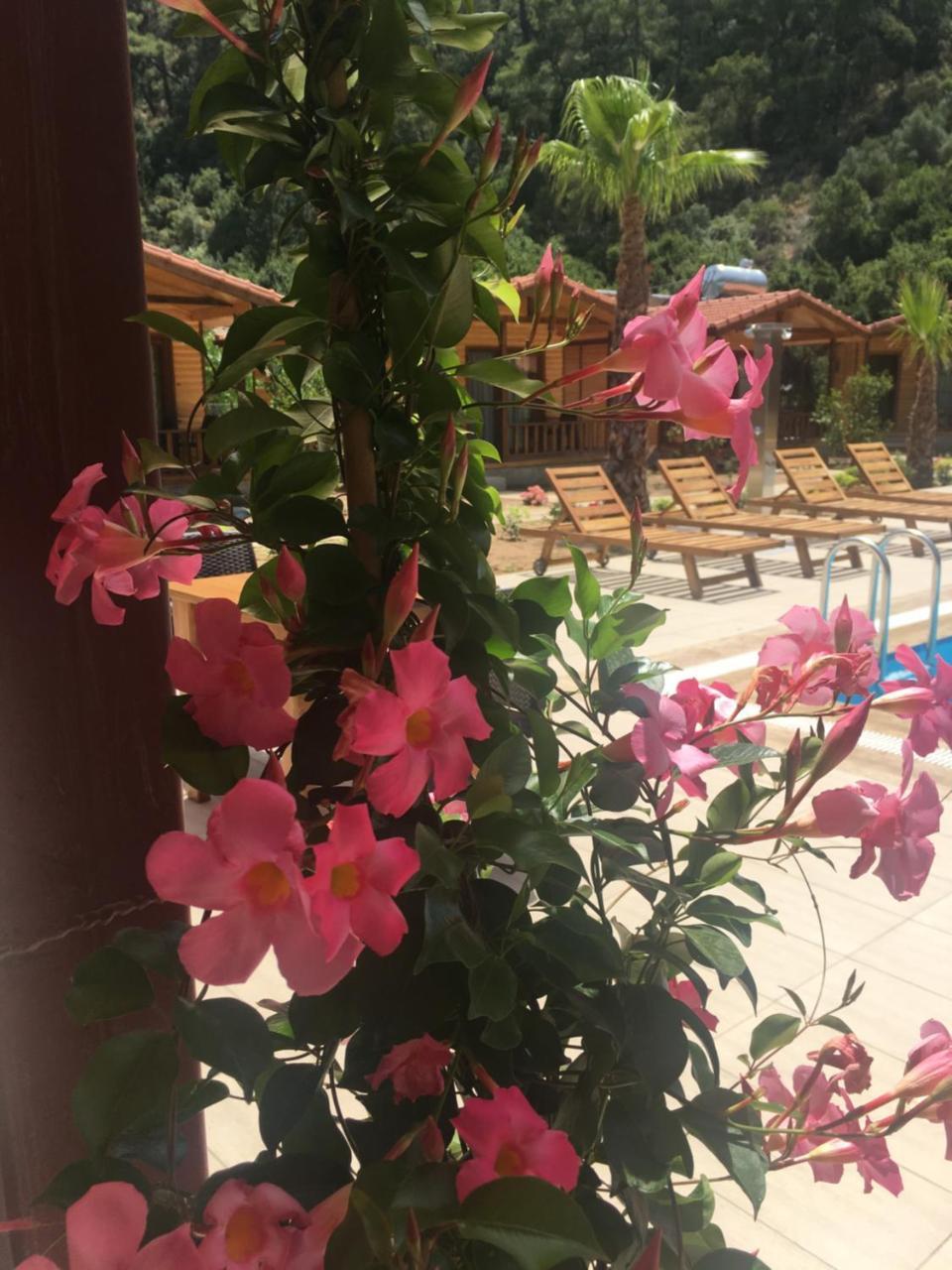 Aparthotel Dolunay *