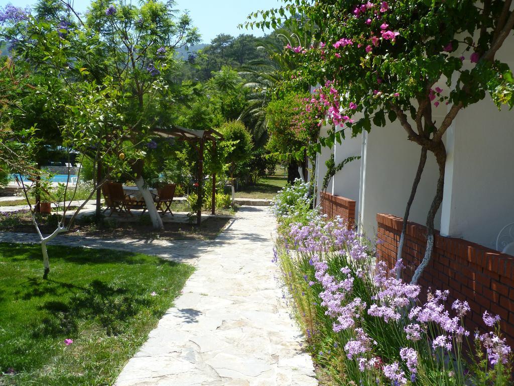 Sultan Ortaca (Mugla)