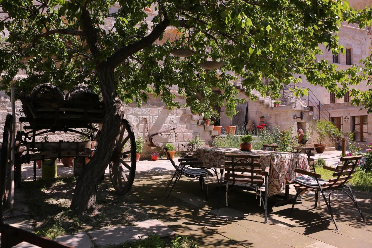 Village Cave House