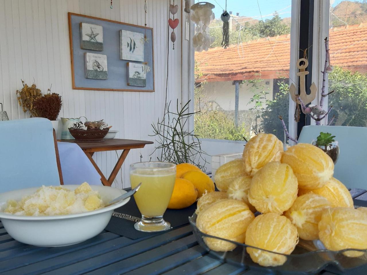 Homestay Friends Pension&camping *