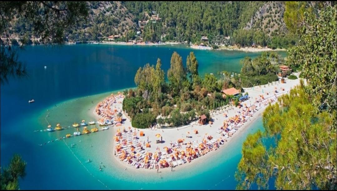 Turtle Apart 2* Fethiye
