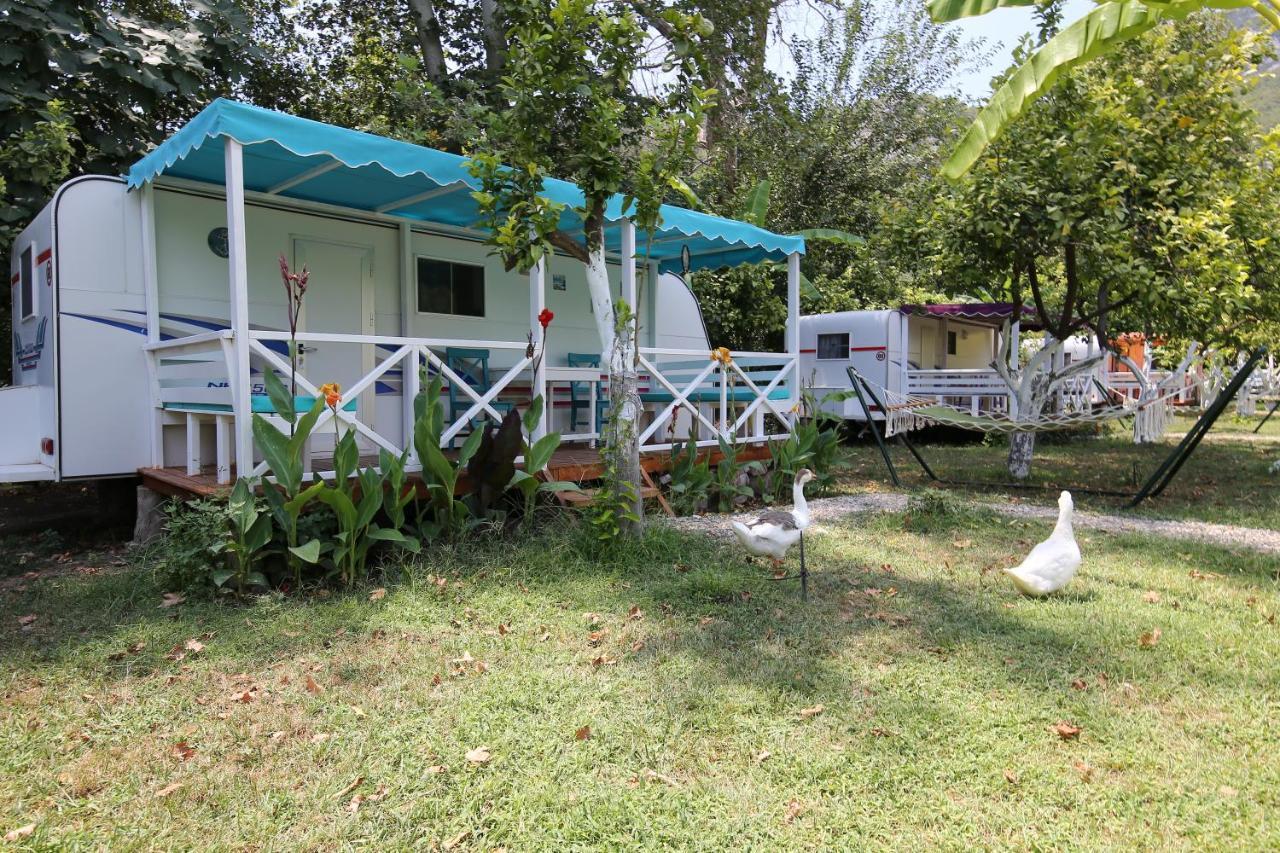 Campsite Bellerofon Caravan & *