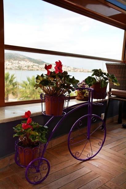 Focamor Bed & Breakfast Yenifoca