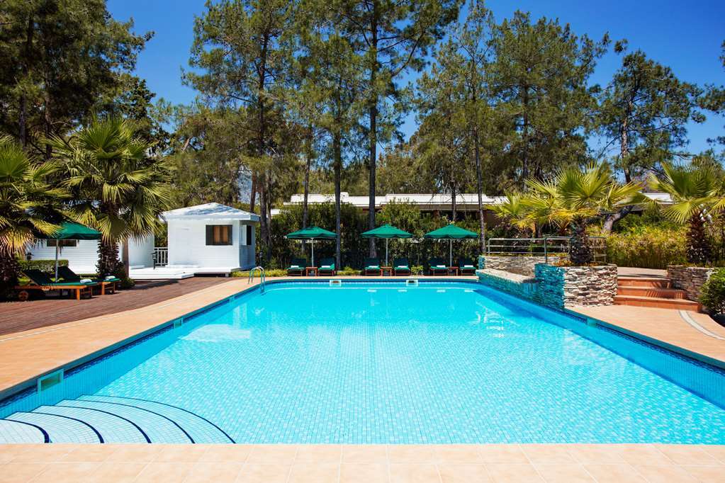 Resort Balmy Foresta 5*