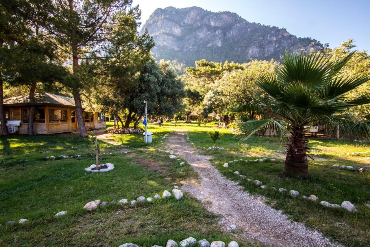 Sea Valley Faralya