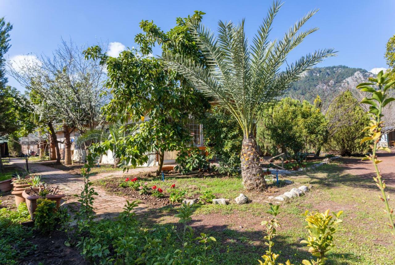 Likya Yanartas Bungalows * Cirali