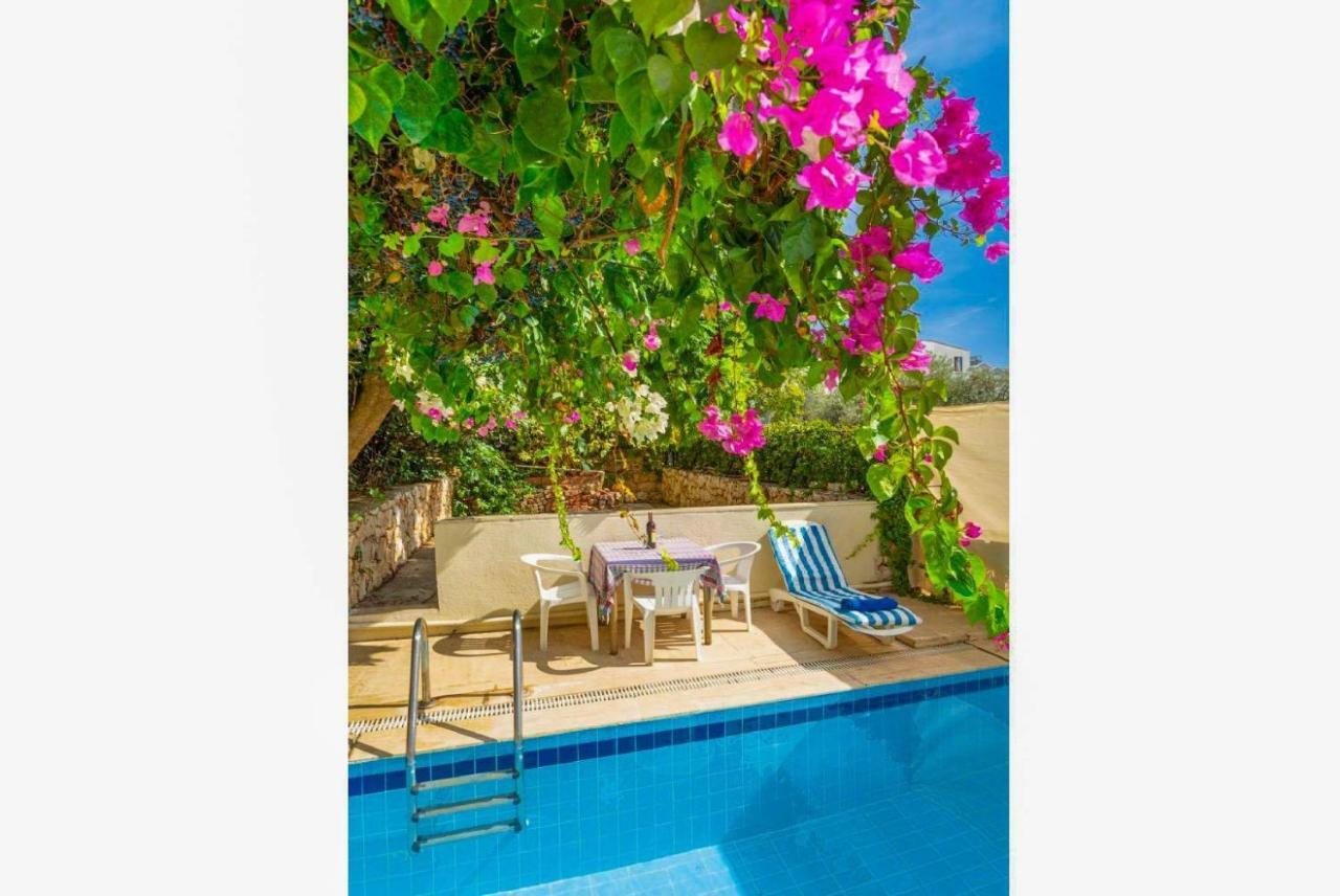 Poppy Villa