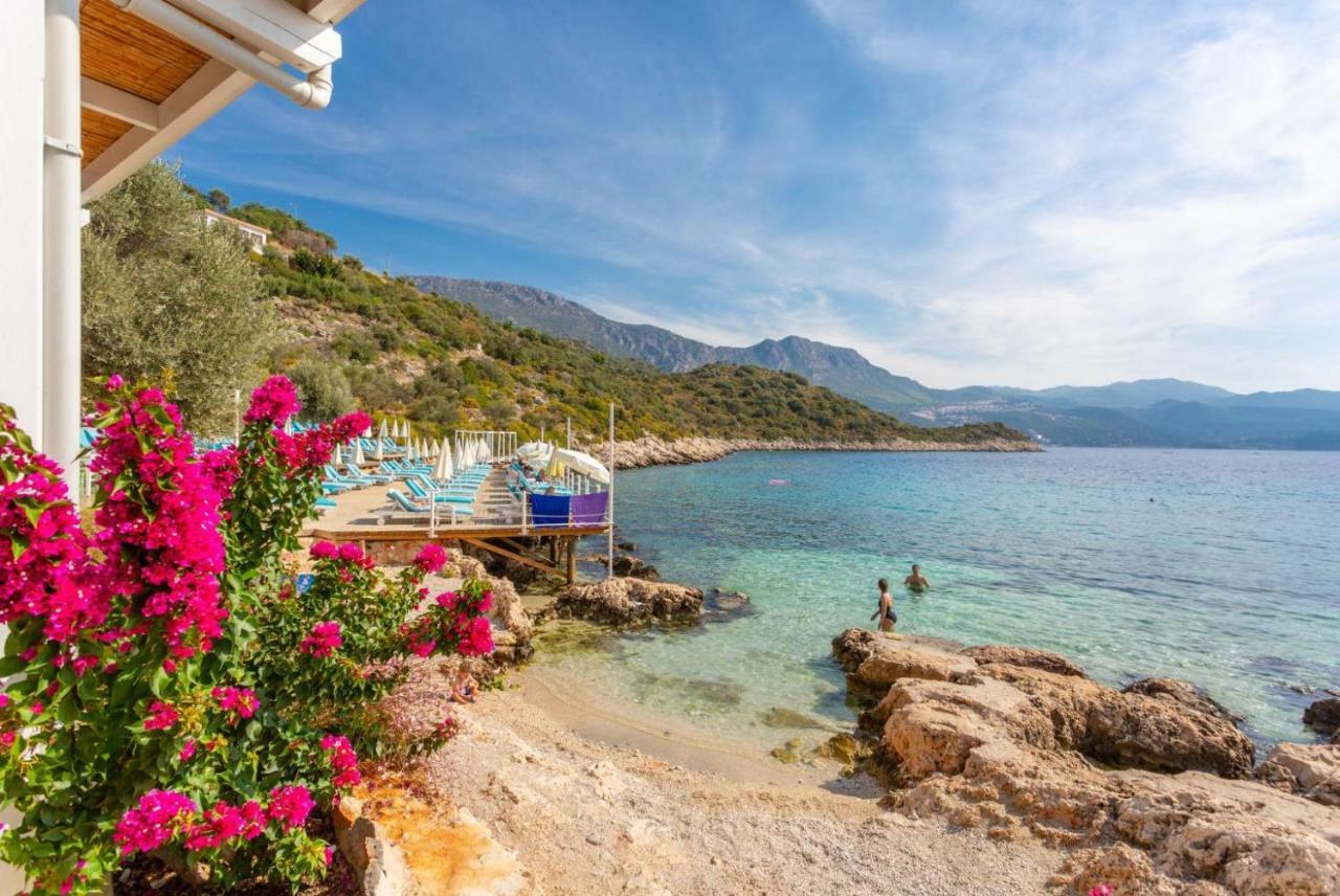 Poppy Kalkan
