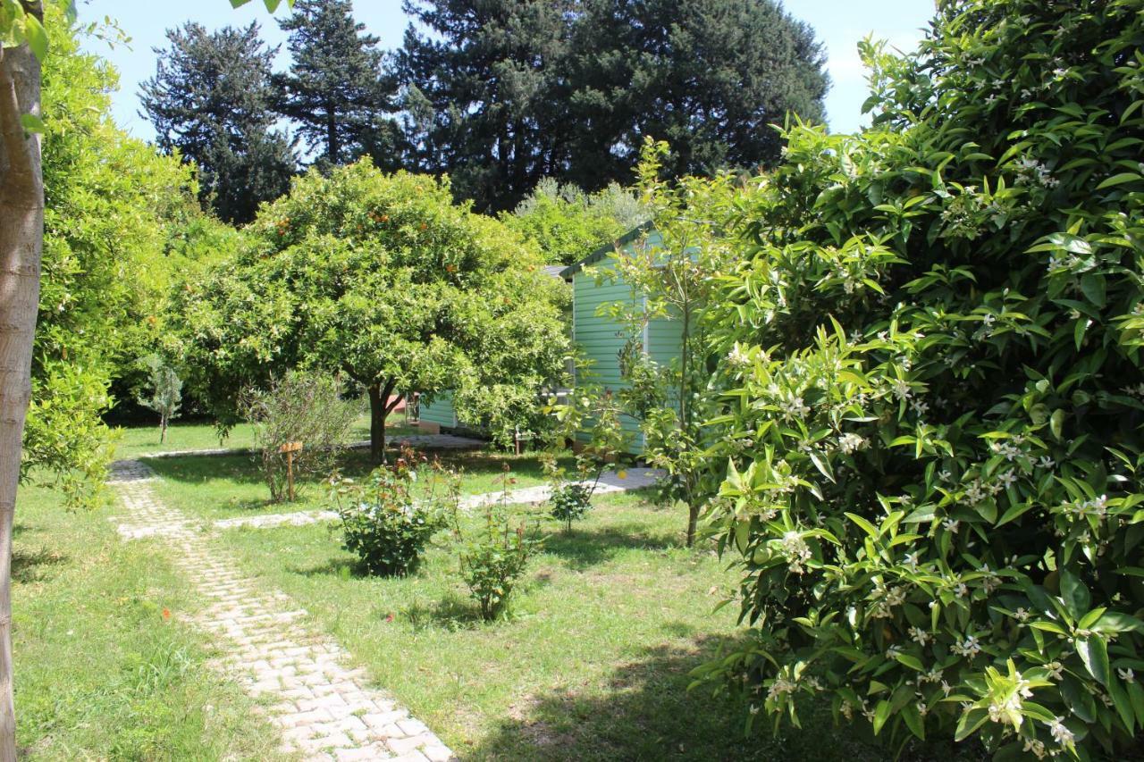 Homestay Sakli Bahce *