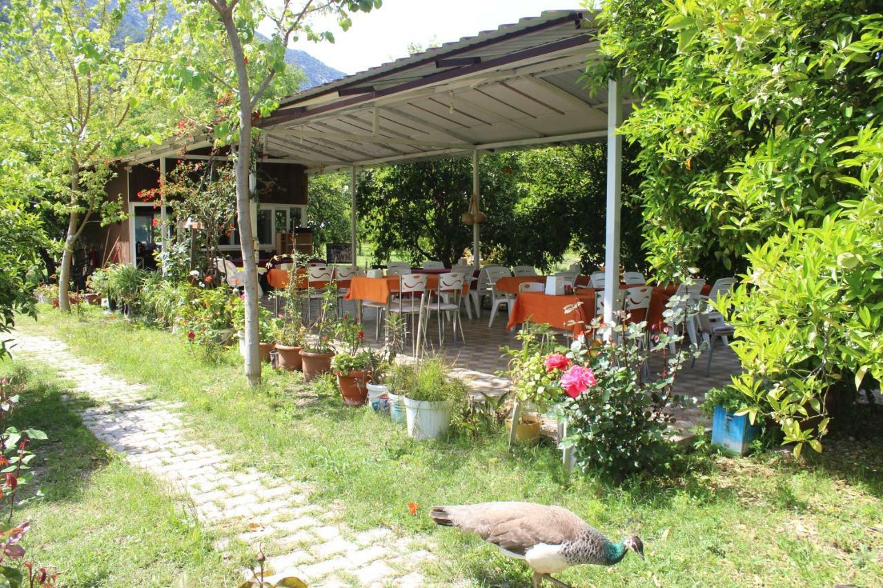 Homestay Sakli Bahce Cirali