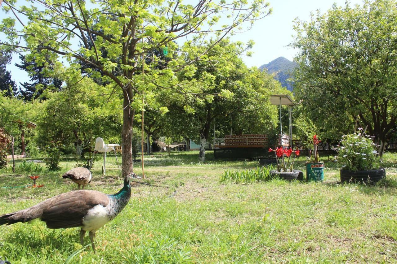 Homestay Sakli Bahce Cirali