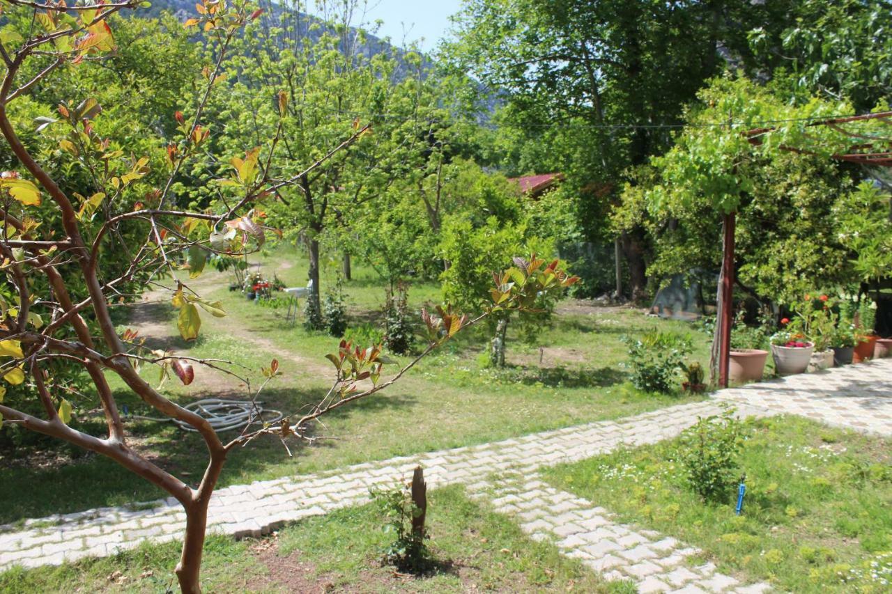 Sakli Bahce Homestay Cirali