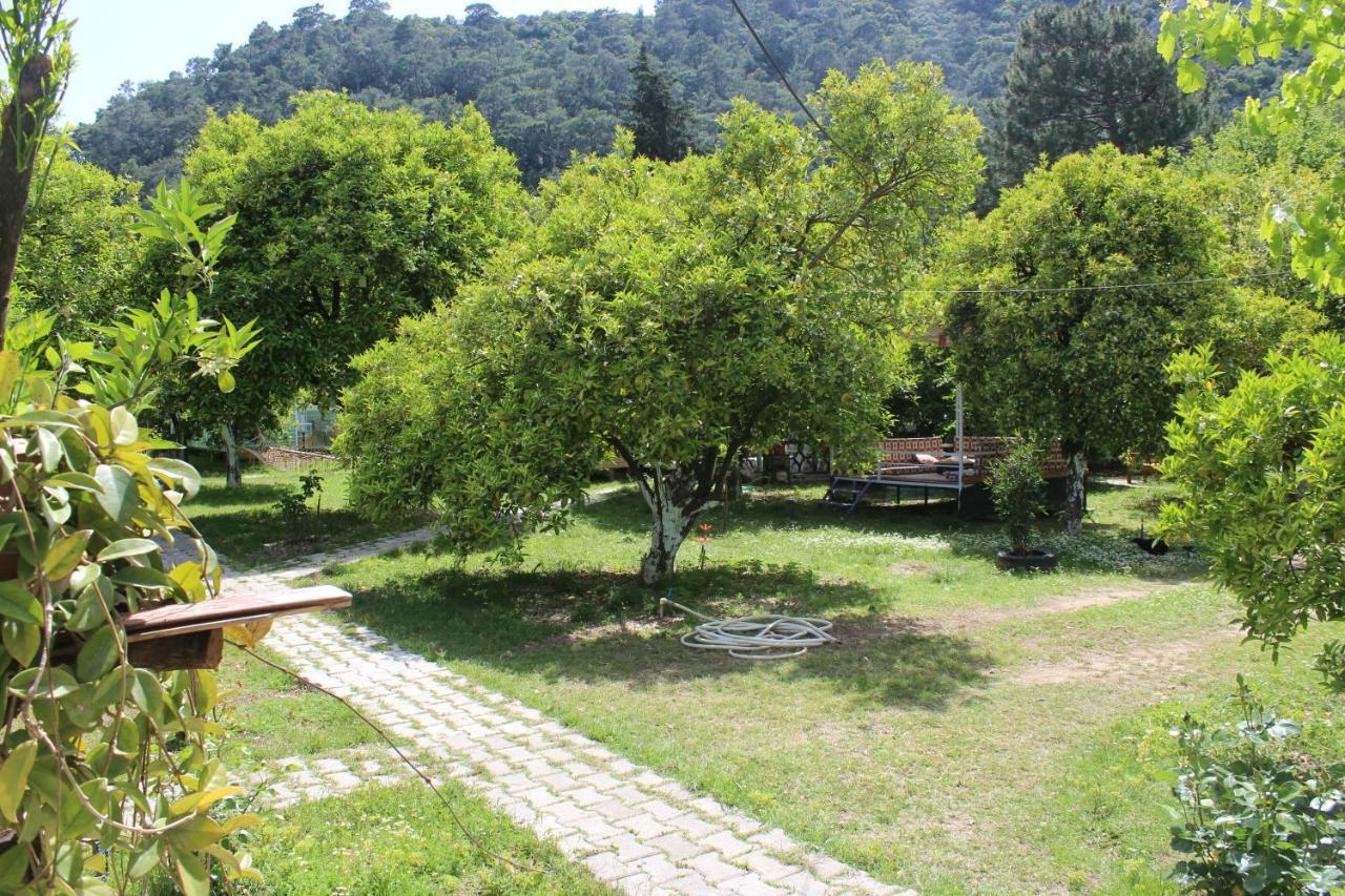 Sakli Bahce * Cirali