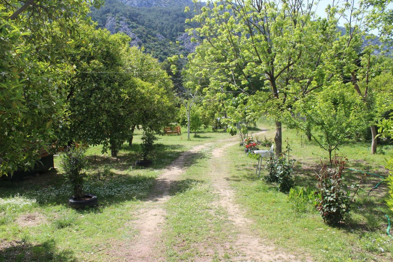 Sakli Bahce * Cirali