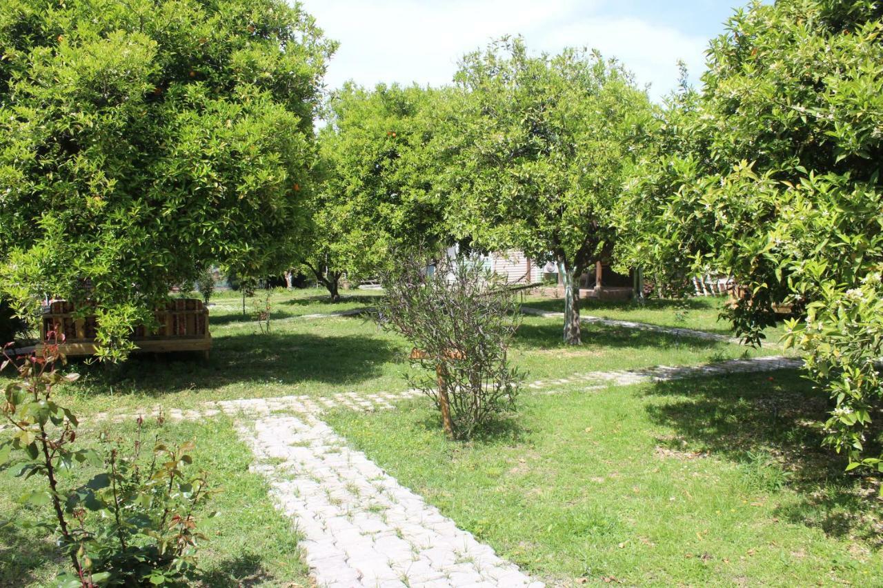 Sakli Bahce