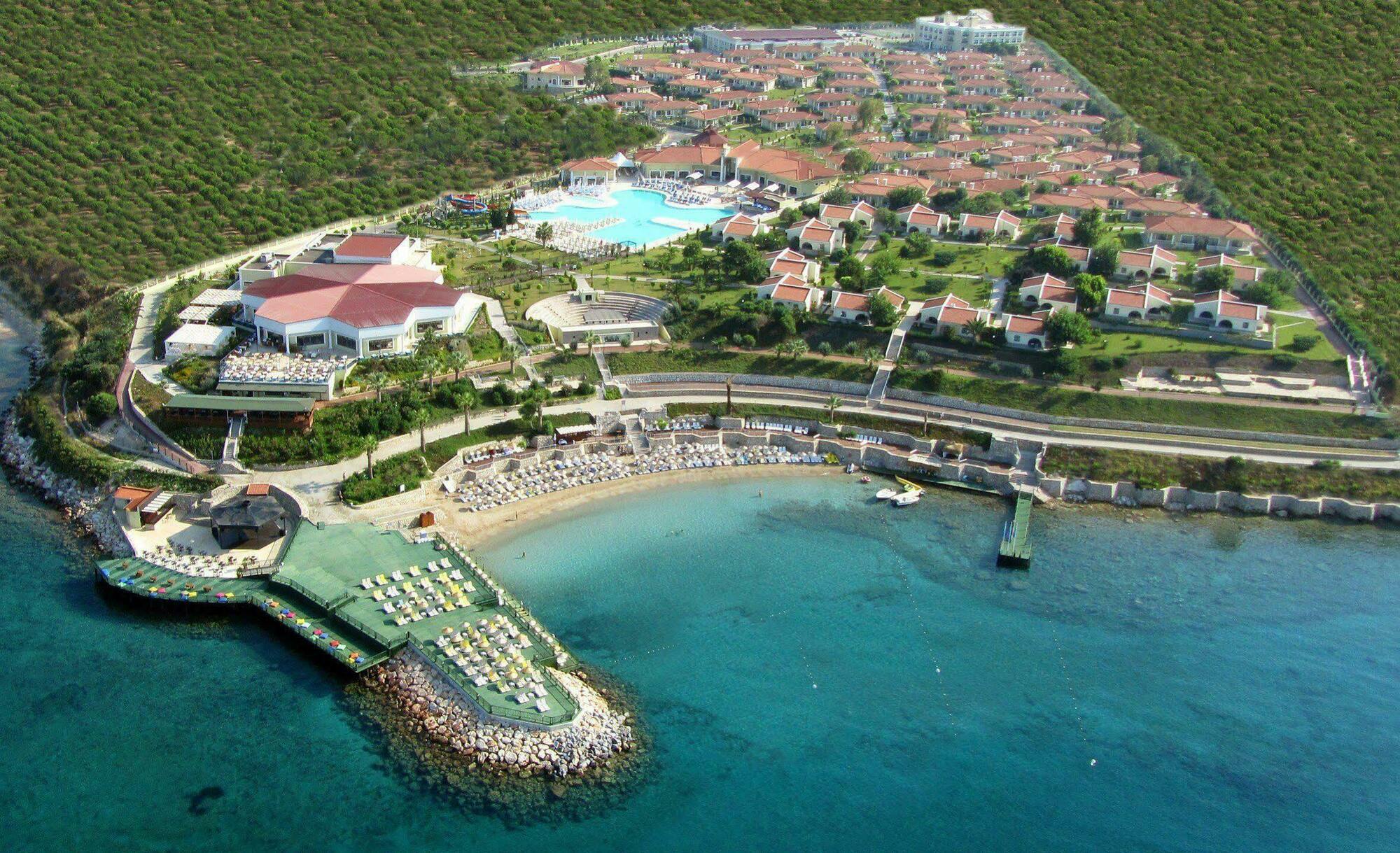 Resort Palm Wings