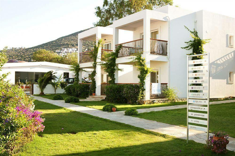 Sina (adults Only) Torba