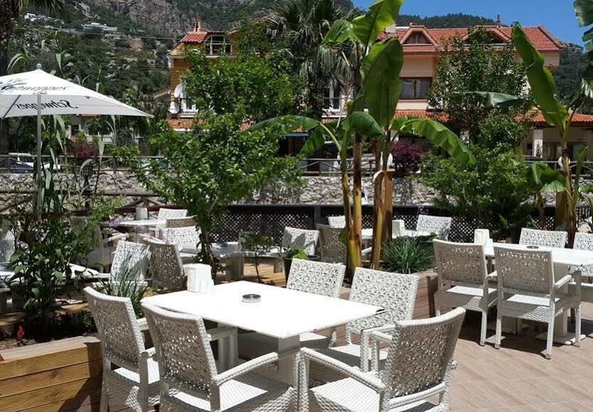 Hotel Dream