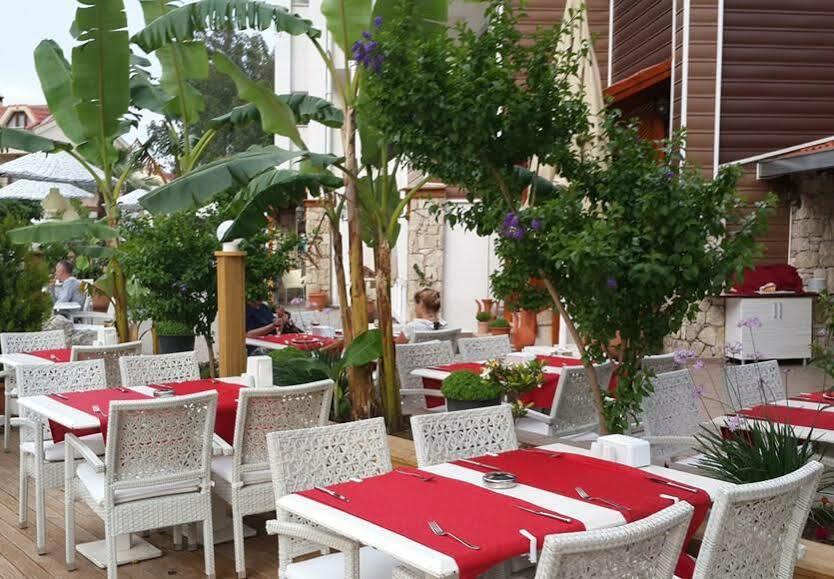 Hotel Dream 3*