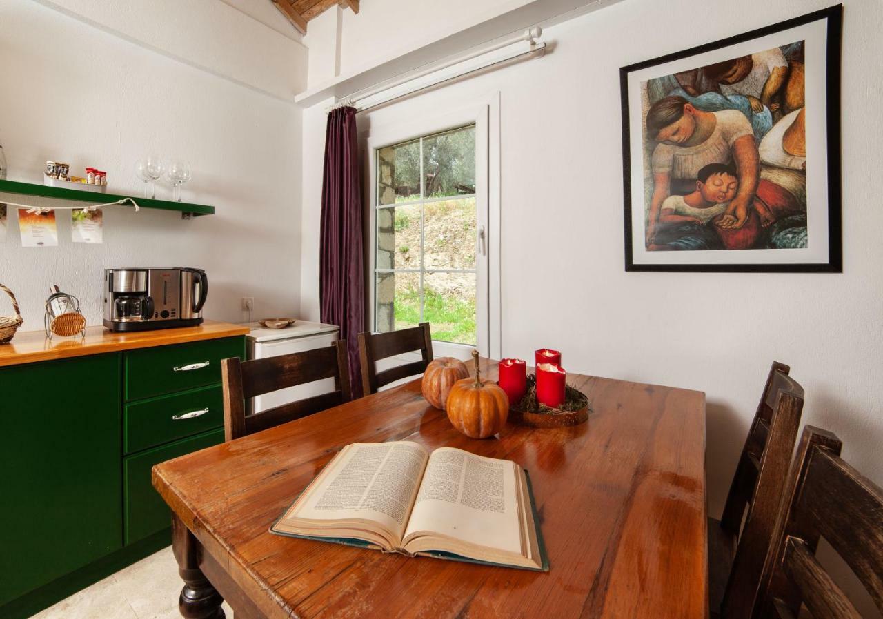 Guest house Vinifera Vineyards 3*