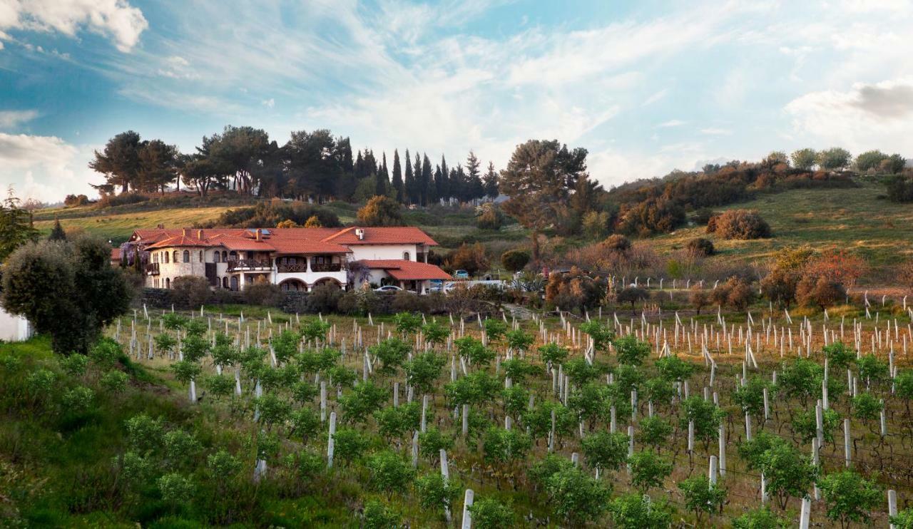 Vinifera Vineyards Guest house 3*