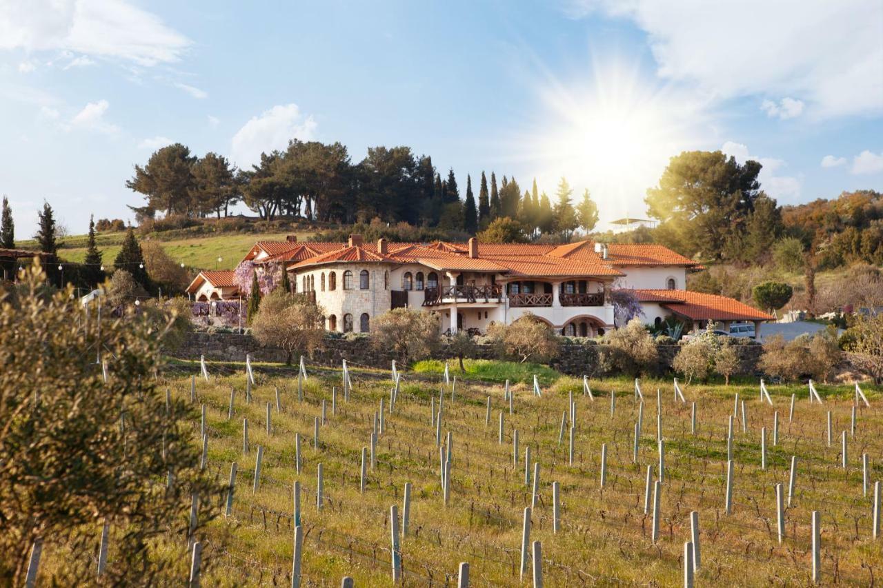 Vinifera Vineyards Guest house