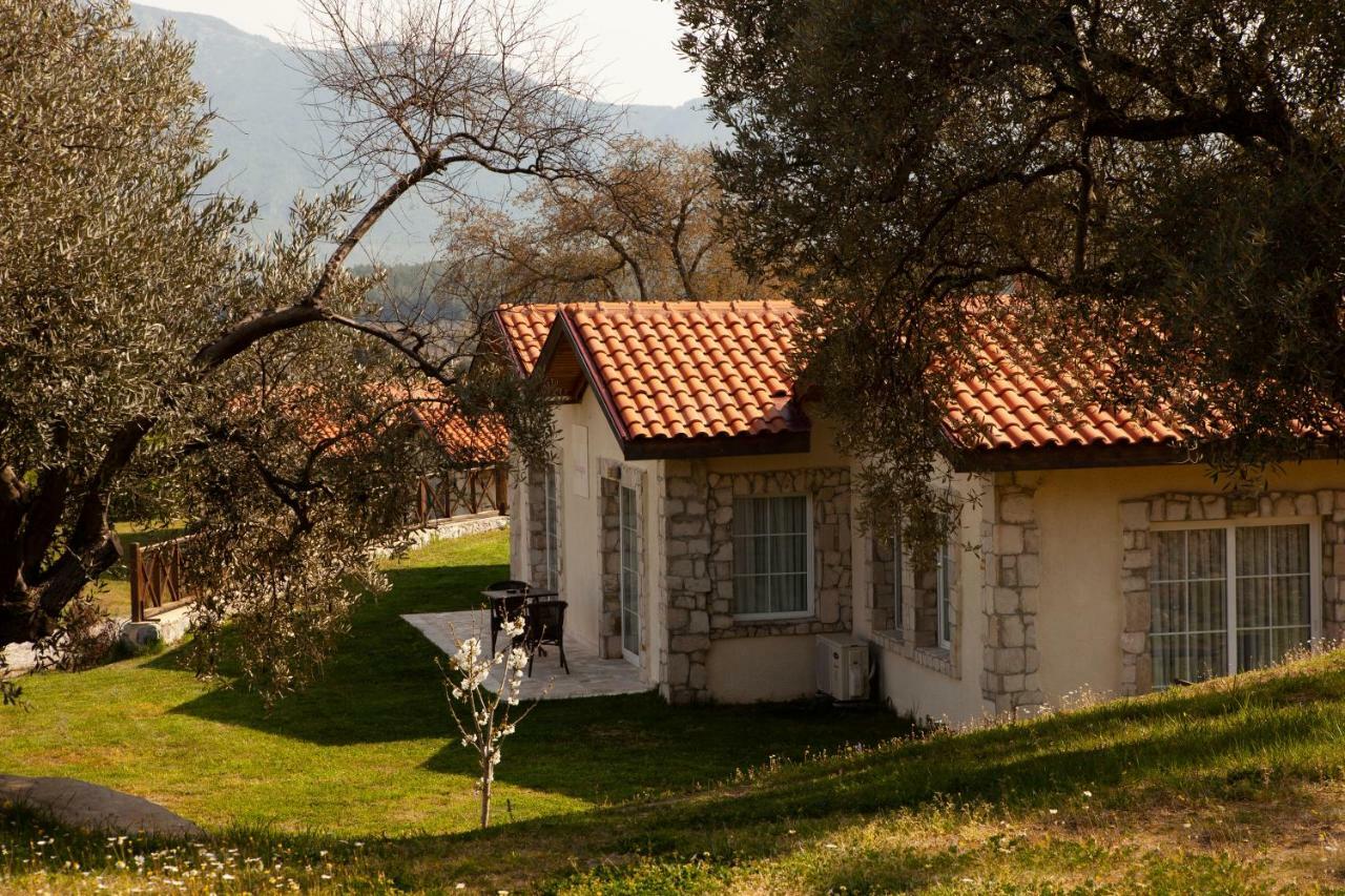 Vinifera Vineyards Selcuk