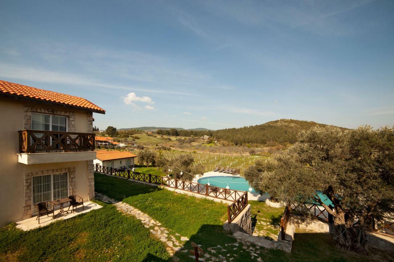 Vinifera Vineyards Selcuk
