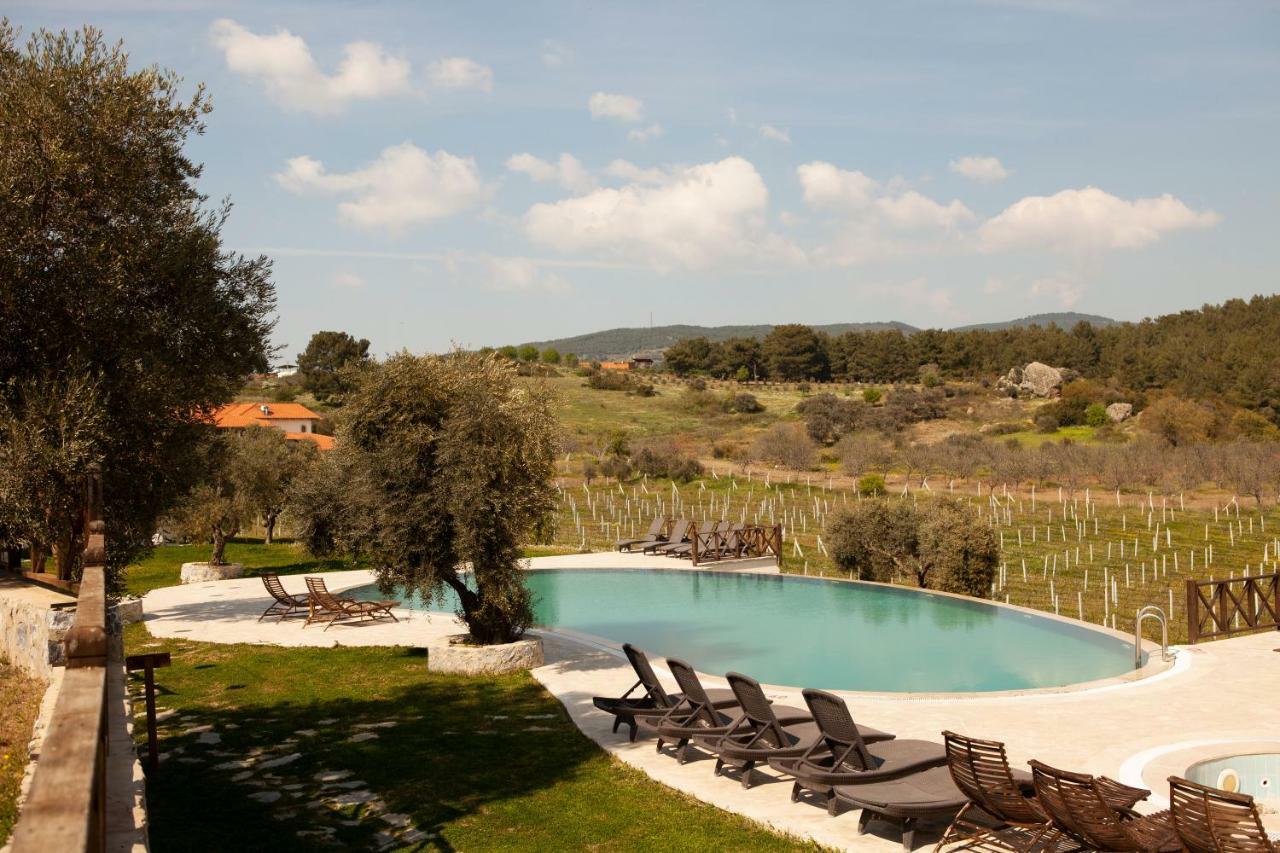 Vinifera Vineyards 3* Selcuk