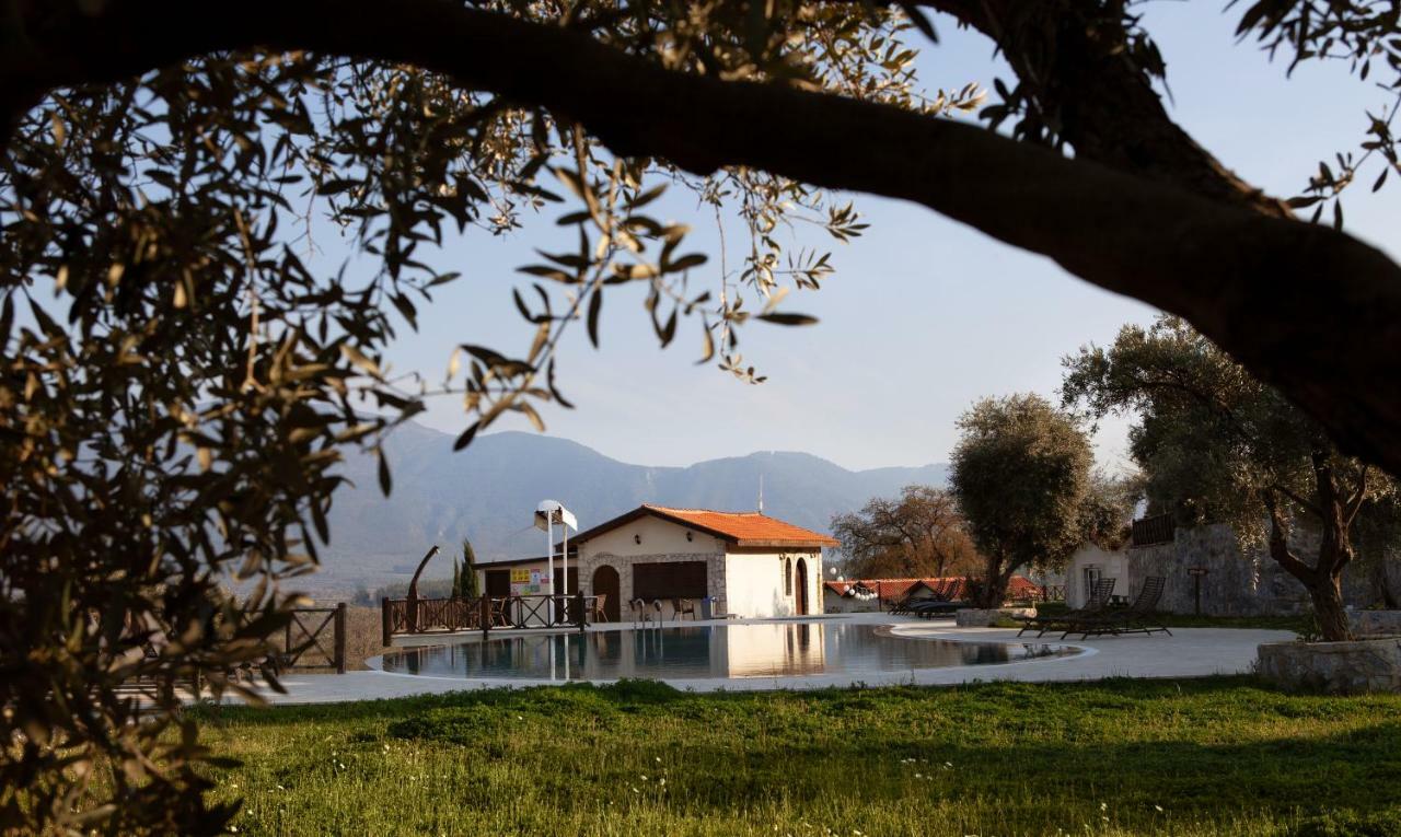 Guest house Vinifera Vineyards 3*