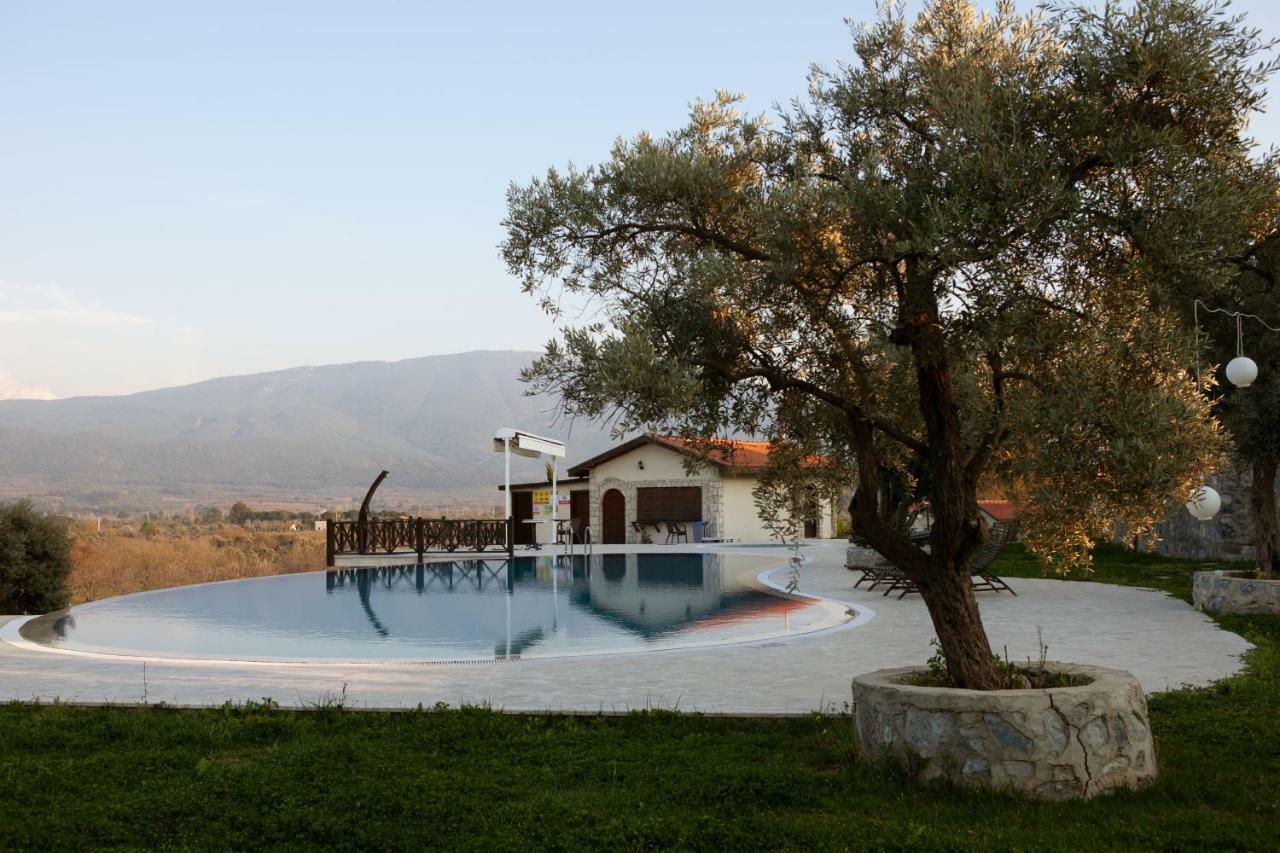 Vinifera Vineyards Guest house