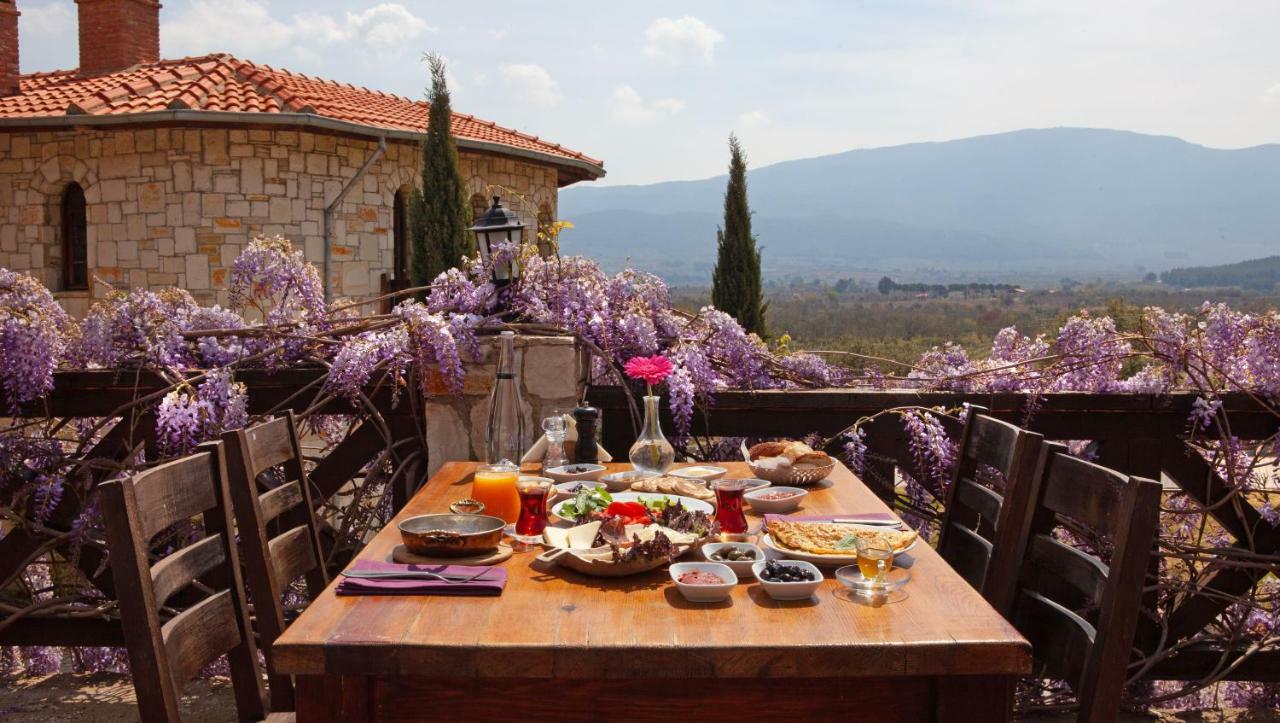 Guest house Vinifera Vineyards 3*