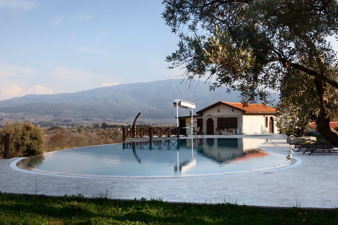 Vinifera Vineyards