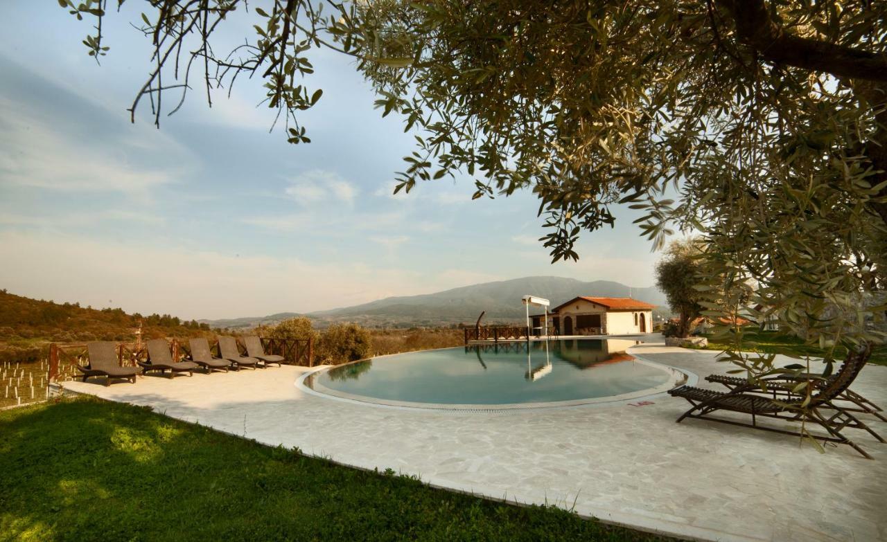 Vinifera Vineyards 3*