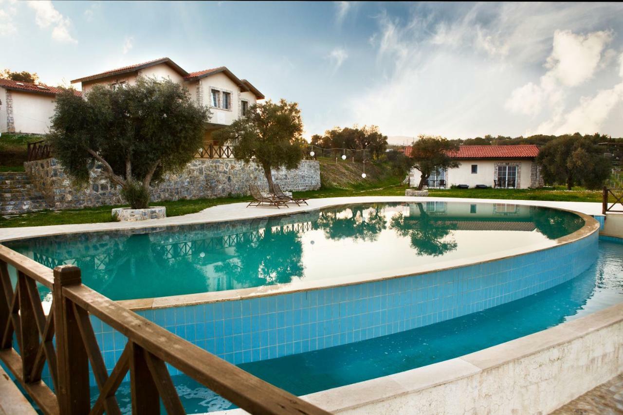 Vinifera Vineyards Selcuk
